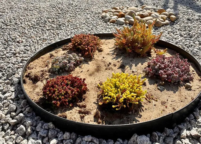 Fresh Ved Borestranden Med To Soverom Og Hems Ferienhaus *